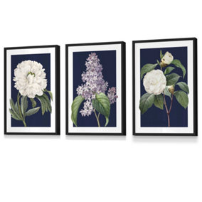 Set of 3 Framed Vintage Flowers Lilac, Peony and Camellia on Navy Blue / 30x42cm (A3) / Black