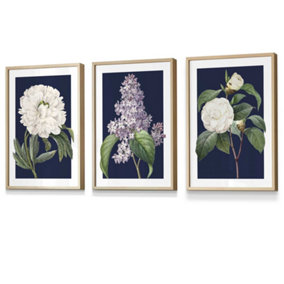 Set of 3 Framed Vintage Flowers Lilac, Peony and Camellia on Navy Blue / 30x42cm (A3) / Oak