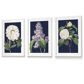 Set of 3 Framed Vintage Flowers Lilac, Peony and Camellia on Navy Blue / 30x42cm (A3) / White