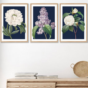 Set of 3 Framed Vintage Flowers Lilac, Peony and Camellia on Navy Blue / 42x59cm (A2) / Oak