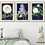 Set of 3 Framed Vintage Flowers Lilac, Peony and Camellia on Navy Blue / 50x70cm / Oak