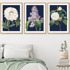 Set of 3 Framed Vintage Flowers Lilac, Peony and Camellia on Navy Blue / 50x70cm / Oak