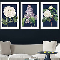 Set of 3 Framed Vintage Flowers Lilac, Peony and Camellia on Navy Blue / 50x70cm / White
