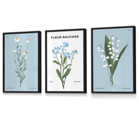 Set of 3 Framed Vintage Graphical Blue Spring Wild Flower Market / 30x42cm (A3) / Black