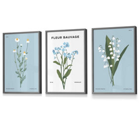 Set of 3 Framed Vintage Graphical Blue Spring Wild Flower Market / 30x42cm (A3) / Dark Grey