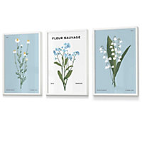 Set of 3 Framed Vintage Graphical Blue Spring Wild Flower Market / 30x42cm (A3) / White