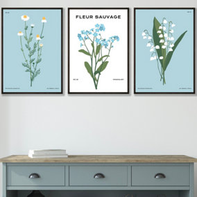 Set of 3 Framed Vintage Graphical Blue Spring Wild Flower Market / 42x59cm (A2) / Black