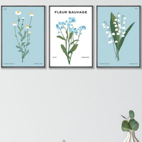 Set of 3 Framed Vintage Graphical Blue Spring Wild Flower Market / 42x59cm (A2) / Dark Grey