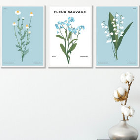 Set of 3 Framed Vintage Graphical Blue Spring Wild Flower Market / 42x59cm (A2) / White