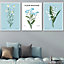 Set of 3 Framed Vintage Graphical Blue Spring Wild Flower Market / 50x70cm / White