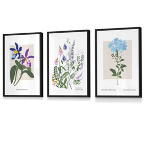 Set of 3 Framed Vintage Graphical Colourful Wild Flower Market / 30x42cm (A3) / Black