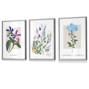 Set of 3 Framed Vintage Graphical Colourful Wild Flower Market / 30x42cm (A3) / Light Grey