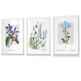 Set of 3 Framed Vintage Graphical Colourful Wild Flower Market / 30x42cm (A3) / White