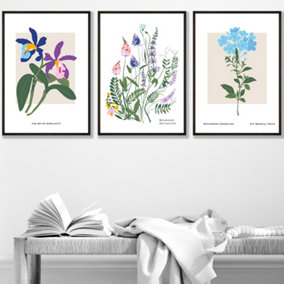 Set of 3 Framed Vintage Graphical Colourful Wild Flower Market / 42x59cm (A2) / Black