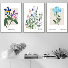 Set of 3 Framed Vintage Graphical Colourful Wild Flower Market / 42x59cm (A2) / Light Grey