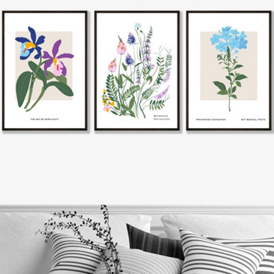 Set of 3 Framed Vintage Graphical Colourful Wild Flower Market / 50x70cm / Black