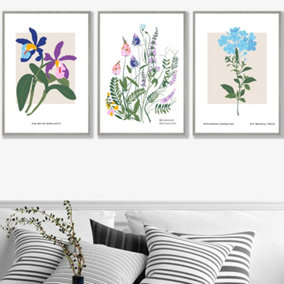 Set of 3 Framed Vintage Graphical Colourful Wild Flower Market / 50x70cm / Light Grey