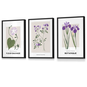 Set of 3 Framed Vintage Graphical Flower Market Purple Lilac / 30x42cm (A3) / Black