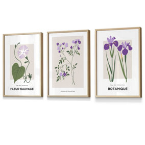 Set of 3 Framed Vintage Graphical Flower Market Purple Lilac / 30x42cm (A3) / Oak