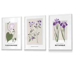 Set of 3 Framed Vintage Graphical Flower Market Purple Lilac / 30x42cm (A3) / White