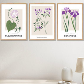 Set of 3 Framed Vintage Graphical Flower Market Purple Lilac / 42x59cm (A2) / Oak