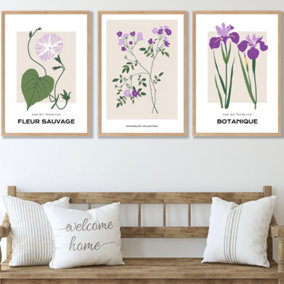 Set of 3 Framed Vintage Graphical Flower Market Purple Lilac / 50x70cm / Oak