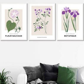 Set of 3 Framed Vintage Graphical Flower Market Purple Lilac / 50x70cm / White