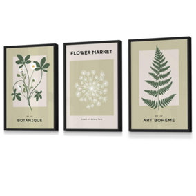 Set of 3 Framed Vintage Graphical Green Botanical / 30x42cm (A3) / Black
