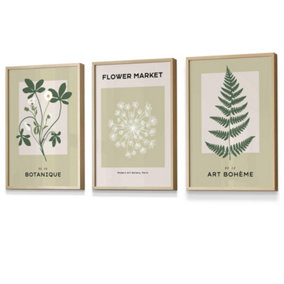 Set of 3 Framed Vintage Graphical Green Botanical / 30x42cm (A3) / Oak
