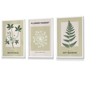 Set of 3 Framed Vintage Graphical Green Botanical / 30x42cm (A3) / White