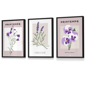 Set of 3 Framed Vintage Graphical Lilac Purple Spring Flower Market / 30x42cm (A3) / Black