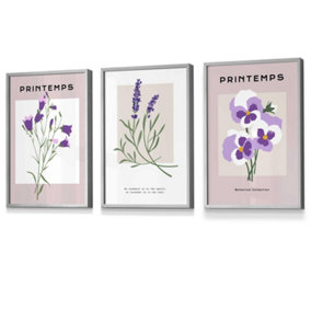 Set of 3 Framed Vintage Graphical Lilac Purple Spring Flower Market / 30x42cm (A3) / Light Grey