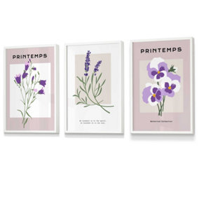 Set of 3 Framed Vintage Graphical Lilac Purple Spring Flower Market / 30x42cm (A3) / White
