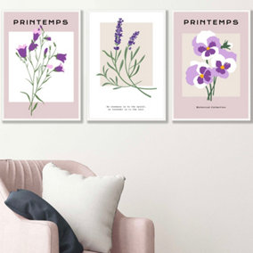 Set of 3 Framed Vintage Graphical Lilac Purple Spring Flower Market / 42x59cm (A2) / White