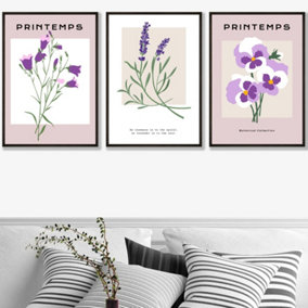Set of 3 Framed Vintage Graphical Lilac Purple Spring Flower Market / 50x70cm / Black