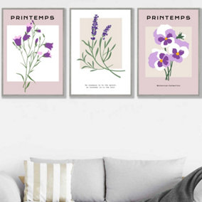 Set of 3 Framed Vintage Graphical Lilac Purple Spring Flower Market / 50x70cm / Light Grey