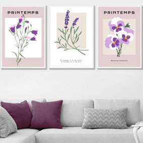 Set of 3 Framed Vintage Graphical Lilac Purple Spring Flower Market / 50x70cm / White