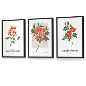 Set of 3 Framed Vintage Graphical Orange Flower Market / 30x42cm (A3) / Black