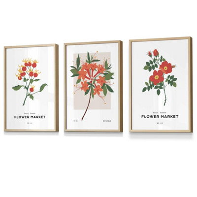 Set of 3 Framed Vintage Graphical Orange Flower Market / 30x42cm (A3) / Oak