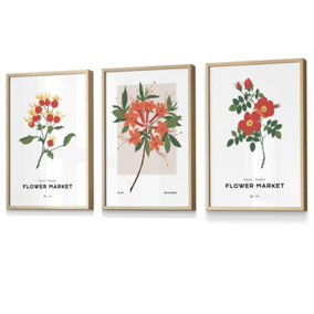 Set of 3 Framed Vintage Graphical Orange Flower Market / 30x42cm (A3) / Oak