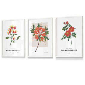 Set of 3 Framed Vintage Graphical Orange Flower Market / 30x42cm (A3) / White
