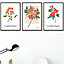 Set of 3 Framed Vintage Graphical Orange Flower Market / 42x59cm (A2) / Black