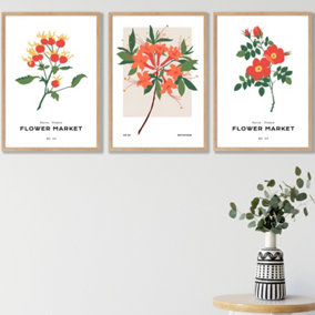 Set of 3 Framed Vintage Graphical Orange Flower Market / 42x59cm (A2) / Oak