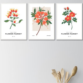 Set of 3 Framed Vintage Graphical Orange Flower Market / 42x59cm (A2) / White