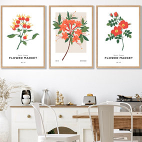 Set of 3 Framed Vintage Graphical Orange Flower Market / 50x70cm / Oak