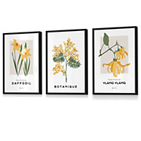 Set of 3 Framed Vintage Graphical Yellow Spring Flower Market / 30x42cm (A3) / Black