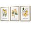 Set of 3 Framed Vintage Graphical Yellow Spring Flower Market / 30x42cm (A3) / Oak