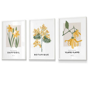 Set of 3 Framed Vintage Graphical Yellow Spring Flower Market / 30x42cm (A3) / White