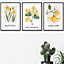 Set of 3 Framed Vintage Graphical Yellow Spring Flower Market / 42x59cm (A2) / Black