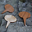 Set of 3 Garden Wooden Plant Markers